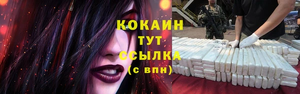 ГАЛЛЮЦИНОГЕННЫЕ ГРИБЫ Карпинск