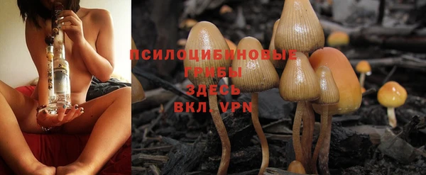 2c-b Карталы